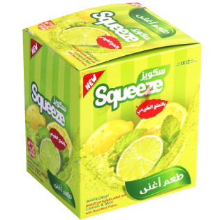 SQZ lemon & mint 25g*12