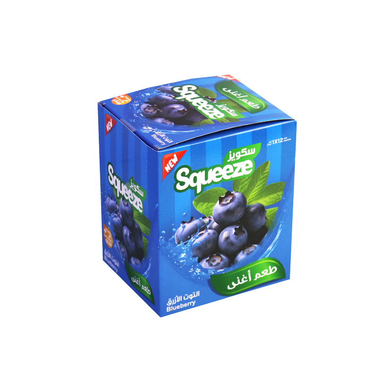 SQZ blueberry 25g*12