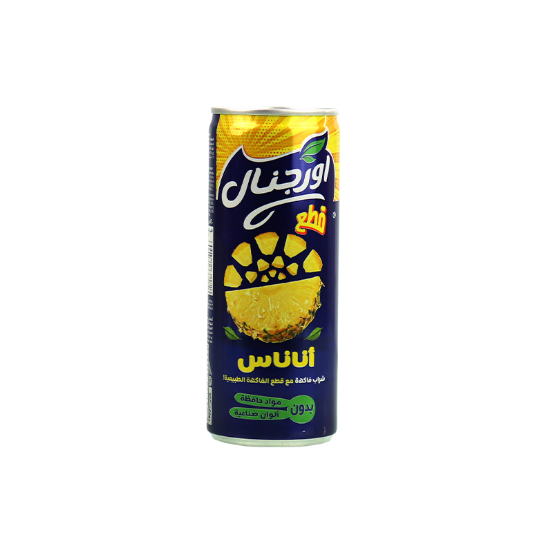Sap Vruchtenstukken Ananas Original 240ml